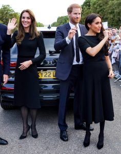 英国王妃Kate Middleton和Meghan Markle黑丝袜高跟乘以2（第6张/共23张）
