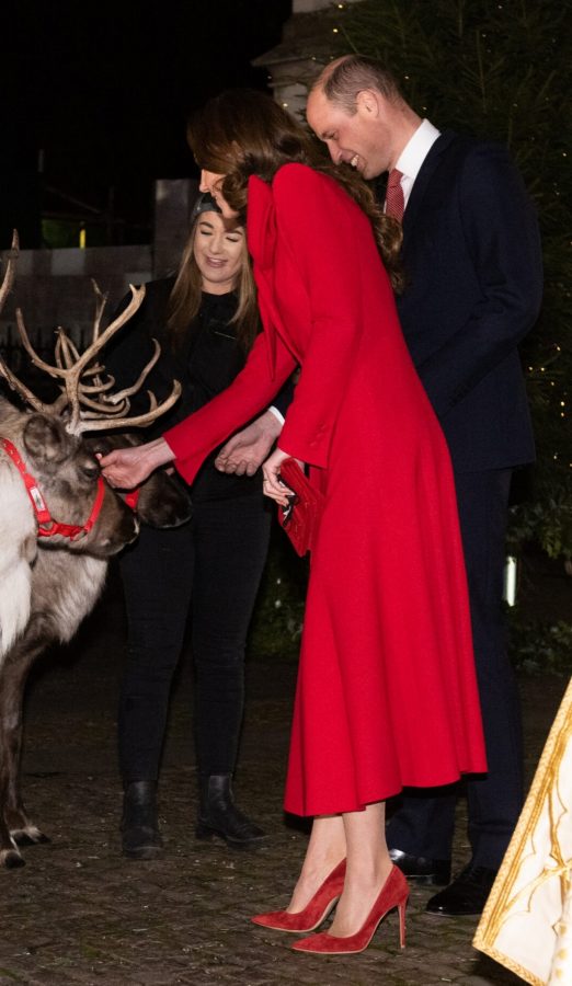 英国王妃Kate Middleton红裙红高根质感肉丝（第4张/共7张）