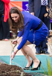 凯特王妃Kate Middleton肉丝高跟美腿植树姿势不错