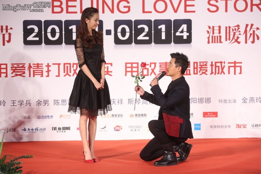 贵妇刘嘉玲+少妇佟丽娅同台比拼高跟鞋(16/18)