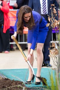 凯特王妃Kate Middleton肉丝高跟美腿植树姿势不错