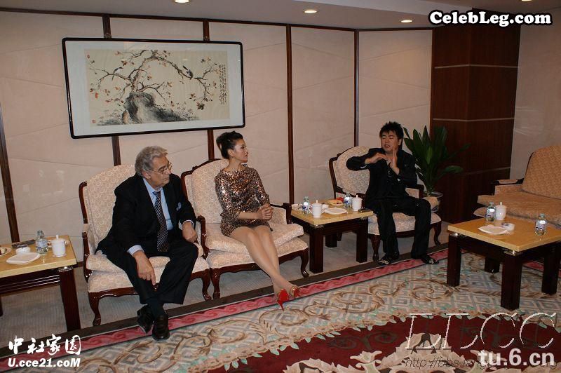 宋祖英超短裙大秀肉丝高跟长腿(3/6)