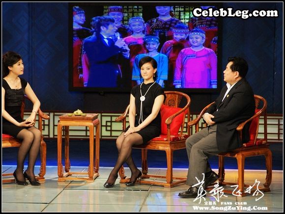 宋祖英和主持人桑晨黑丝高跟美腿同台了(3/23)