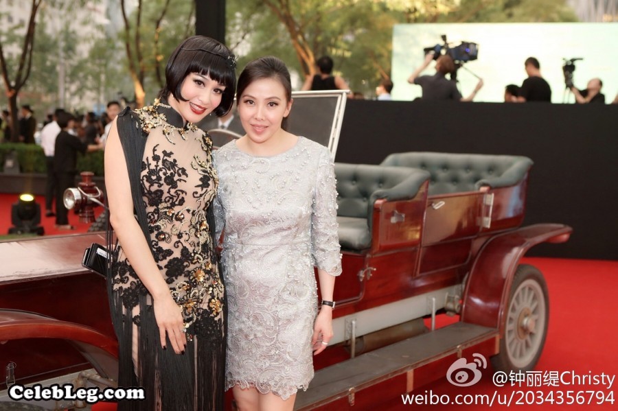 钟丽缇气质妖艳穿透视礼服出席《了不起的盖茨比》首映(4/4)
