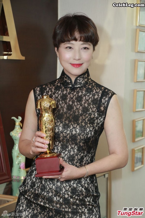 熟女周海媚黑丝旗袍装(4/6)