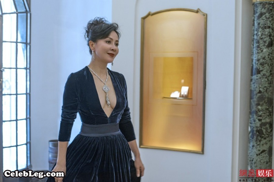 先别看腿刘嘉玲低胸装搭配珠宝项链气质高贵(14/14)