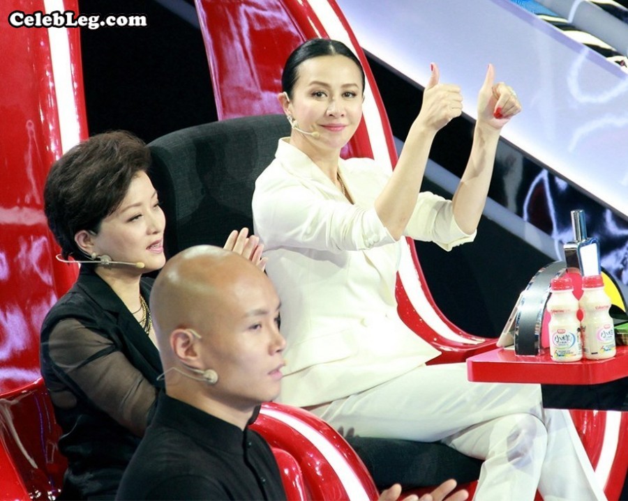 刘嘉玲和杨澜两大成熟知性女人黑白套装同台(14/26)