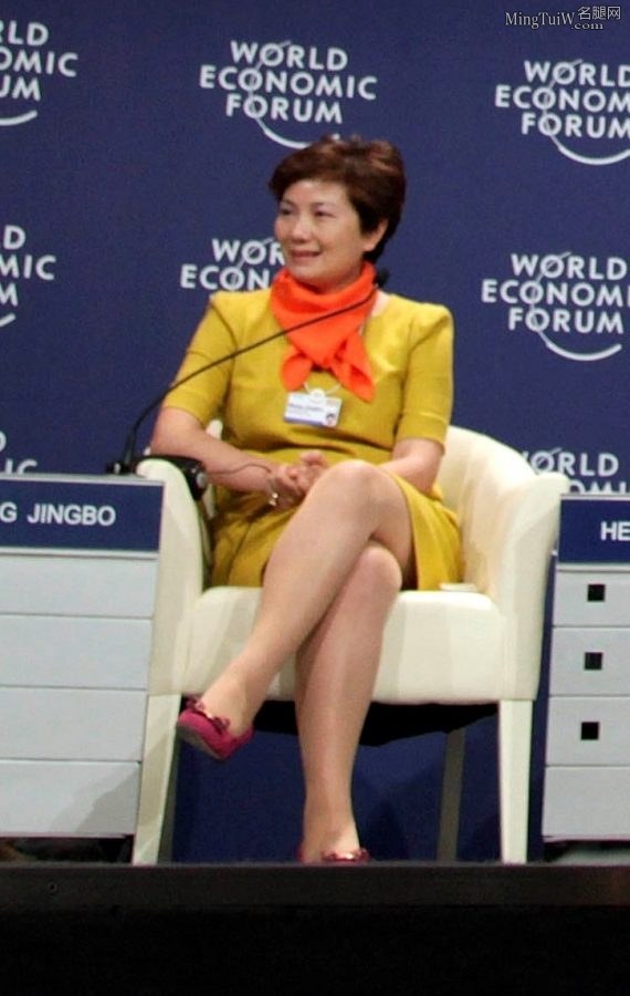 杨澜和女强人们在达沃斯的高跟腿(9/14)