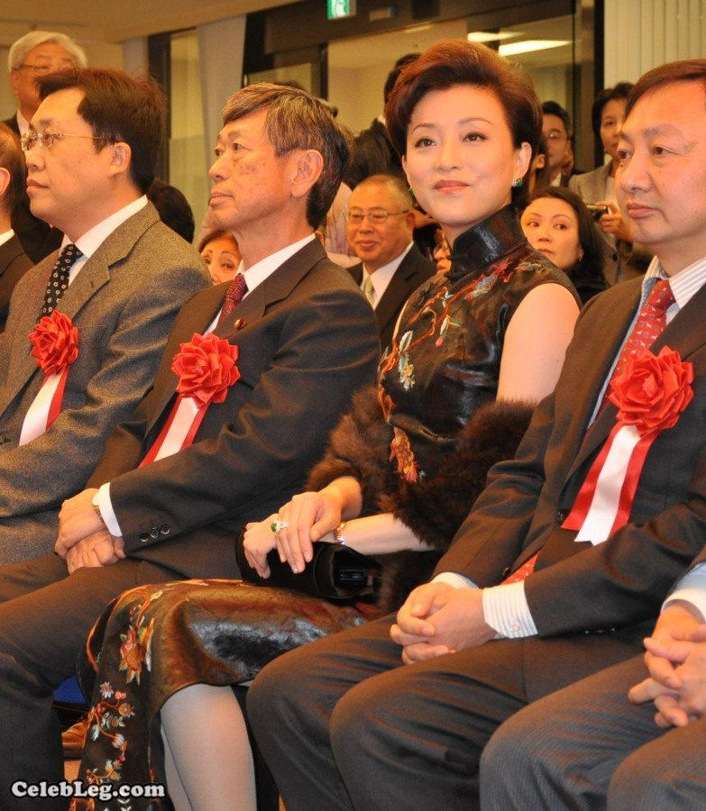 杨澜竟然穿上了旗袍装不露腿真没意思(2/3)