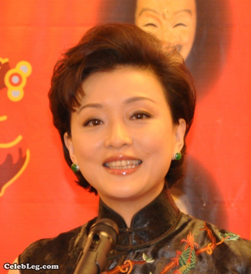 杨澜竟然穿上了旗袍装不露腿真没意思(3/3)