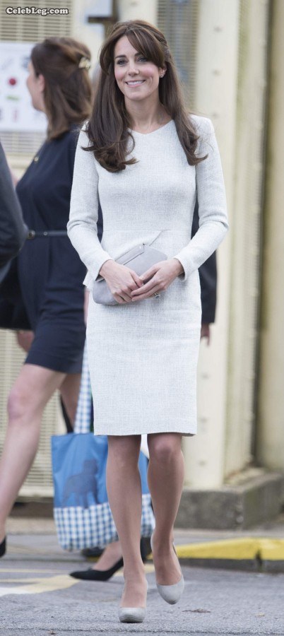 英国王妃Kate Middleton的高跟腿都过来看看吧(17/18)