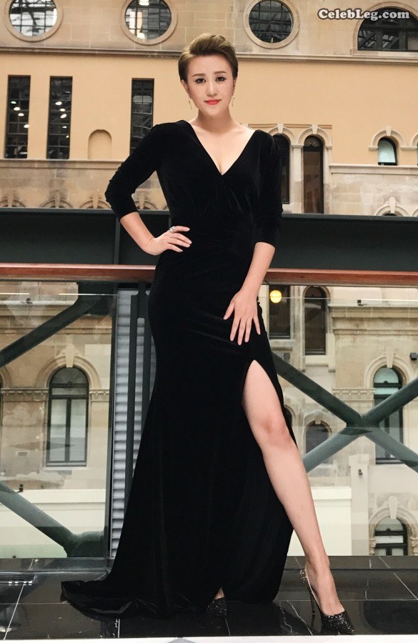 开心麻花熟女马丽高跟美腿低胸礼服(4/16)