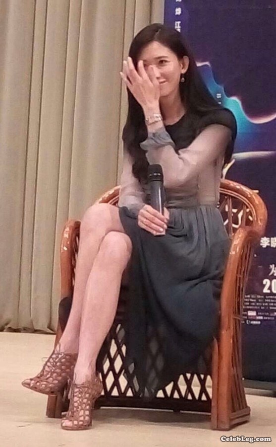 林志玲、李晓雨和关雪盈高跟美腿三双(15/17)