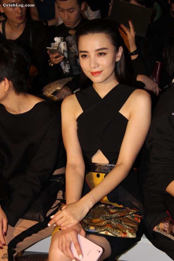 大气的美女宋佳美腿交叉坐姿前排看秀(22/32)