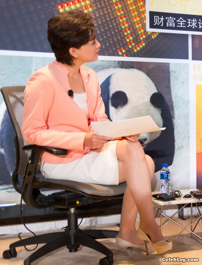高级女人杨澜会议现场真实的肉色丝袜美腿(27/38)