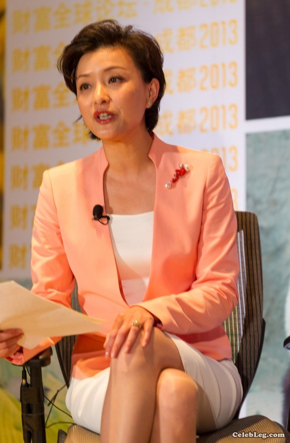 高级女人杨澜会议现场真实的肉色丝袜美腿(32/38)