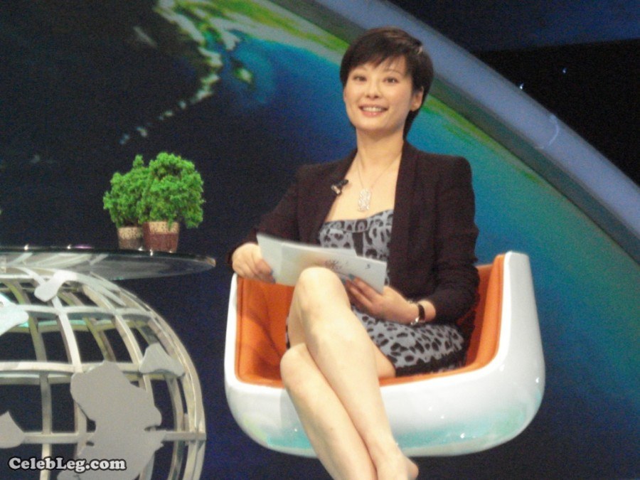 大陆影视演员袁立短发白腿(6/10)