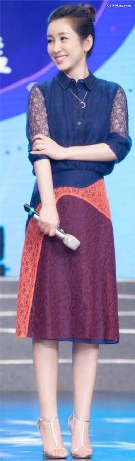 东北女星秦海璐凉鞋高跟足(7/7)