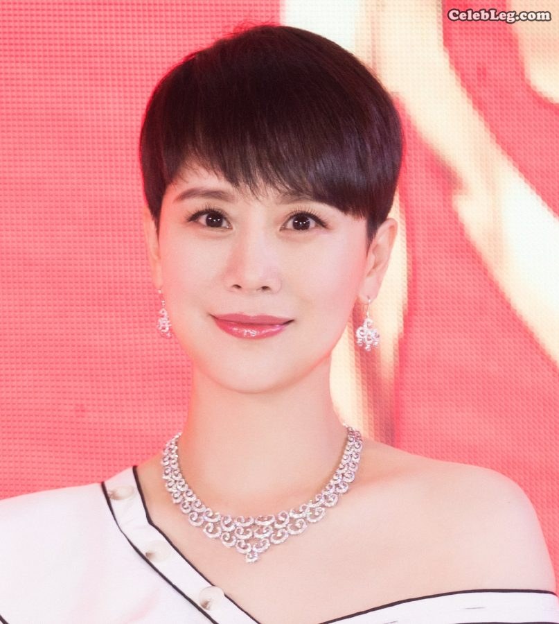 短发气质女海清面部高清照片(3/5)