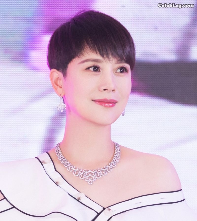 短发气质女海清面部高清照片(4/5)