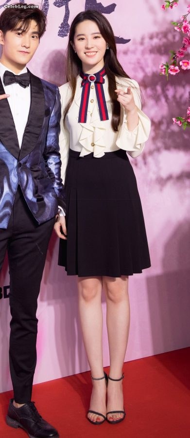 左起刘亦菲、李纯、顾璇三双美腿一起给你服务(4/9)