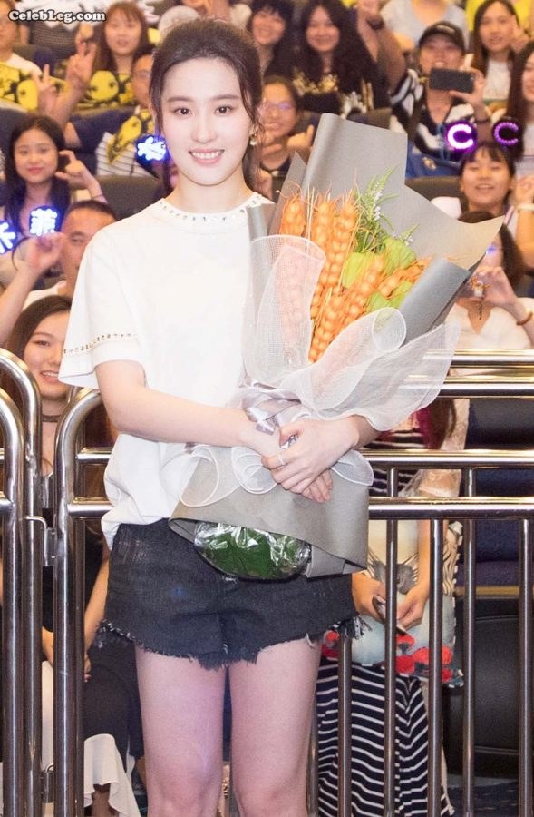 神仙小姐姐刘亦菲美腿又直又白(4/6)