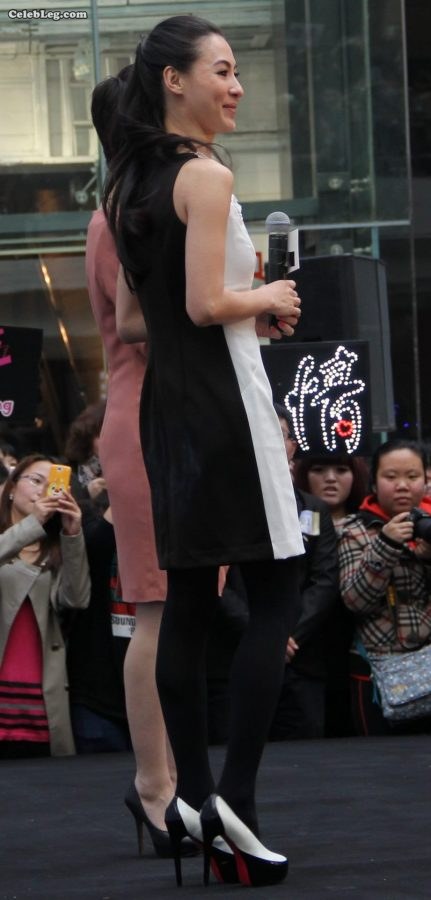张柏芝的厚黑丝腿竟然有人问她是不是处女(1/3)