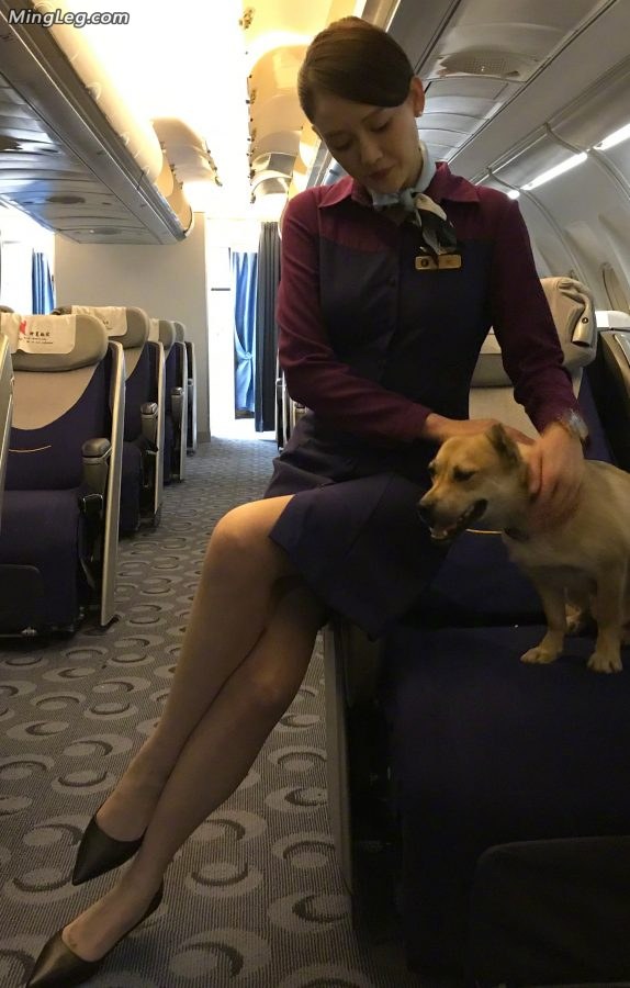 陈乔恩是哪个航空公司的乘务员穿着空姐制服在飞机客舱拍照片(1/4)