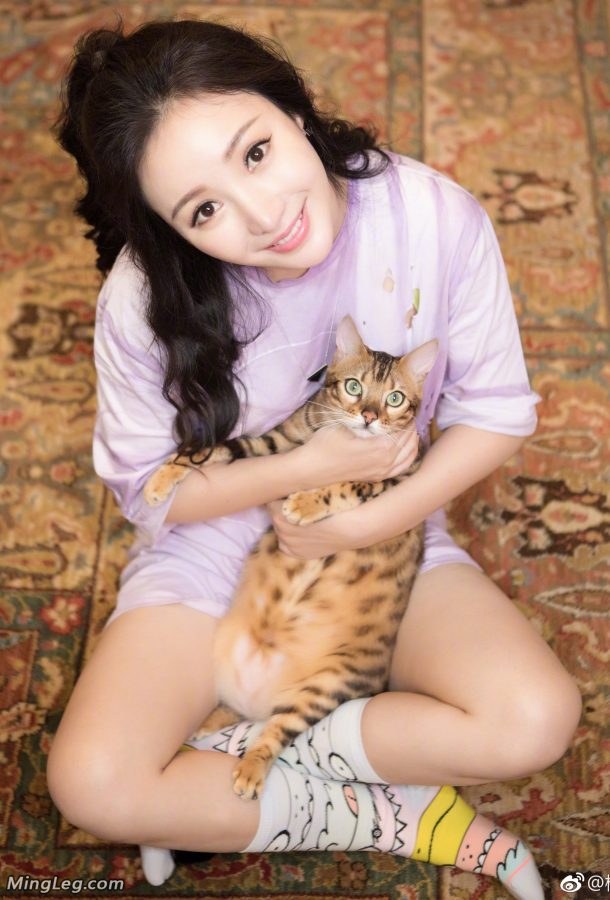 柳岩可爱棉袜子那只猫很幸福(1/3)