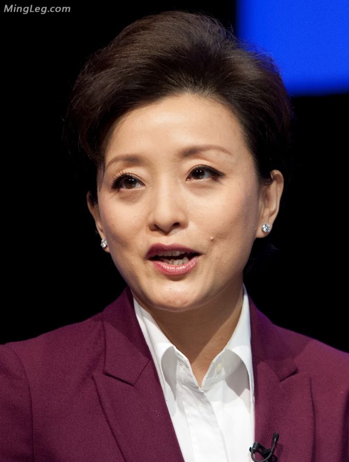 熟女主持人杨澜的肉丝高跟腿高贵优雅(5/7)