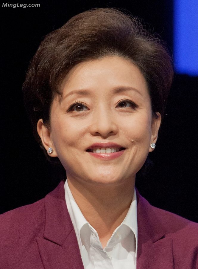 熟女主持人杨澜的肉丝高跟腿高贵优雅(6/7)