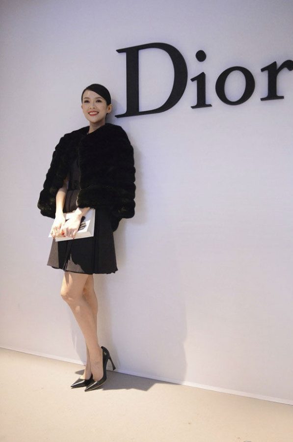 International Zhang Ziyi is really pretty(15/17)