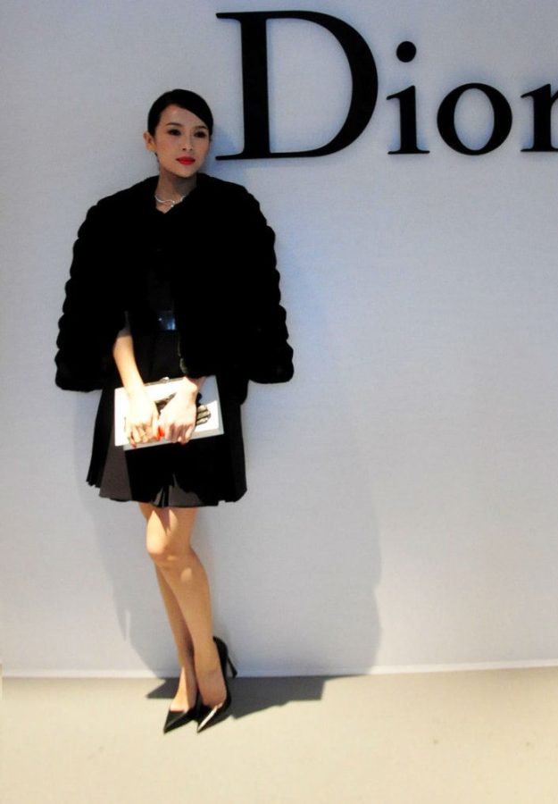 International Zhang Ziyi is really pretty(16/17)