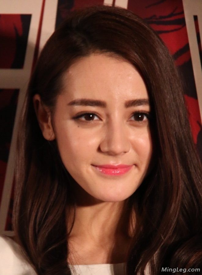 新疆美女明星迪丽热巴美丽大方(7/9)