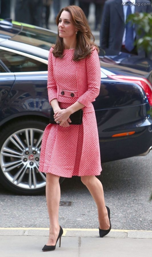 英国王妃Kate Middleton穿了很薄的丝袜(1/18)