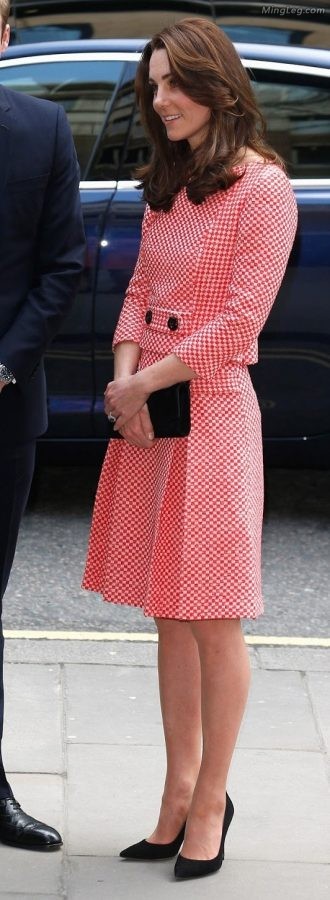 英国王妃Kate Middleton穿了很薄的丝袜(13/18)