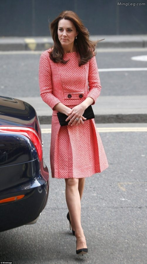 英国王妃Kate Middleton穿了很薄的丝袜(14/18)