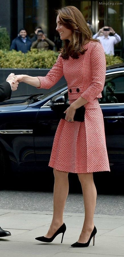 英国王妃Kate Middleton穿了很薄的丝袜(15/18)