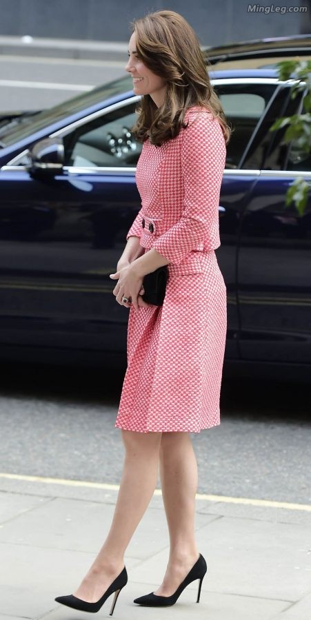 英国王妃Kate Middleton穿了很薄的丝袜(4/18)