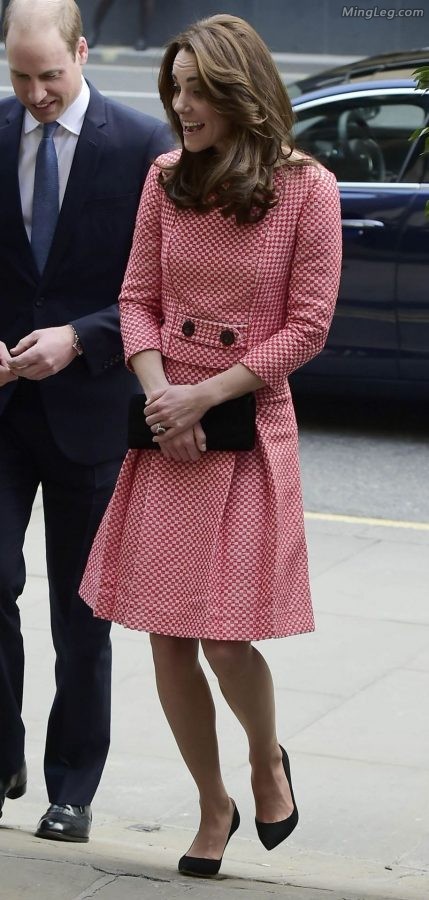 英国王妃Kate Middleton穿了很薄的丝袜（第6张/共18张）