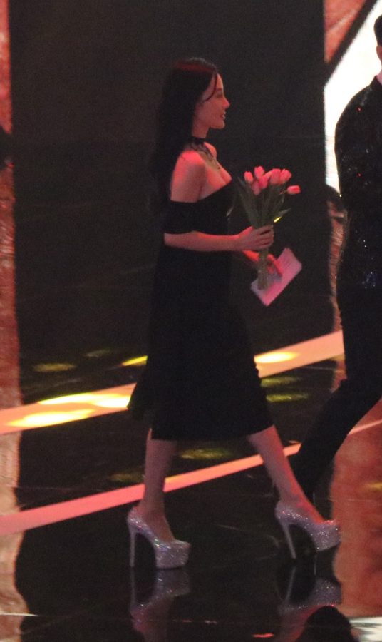 杨紫登台领奖意外发现嫂子李小璐(10/10)