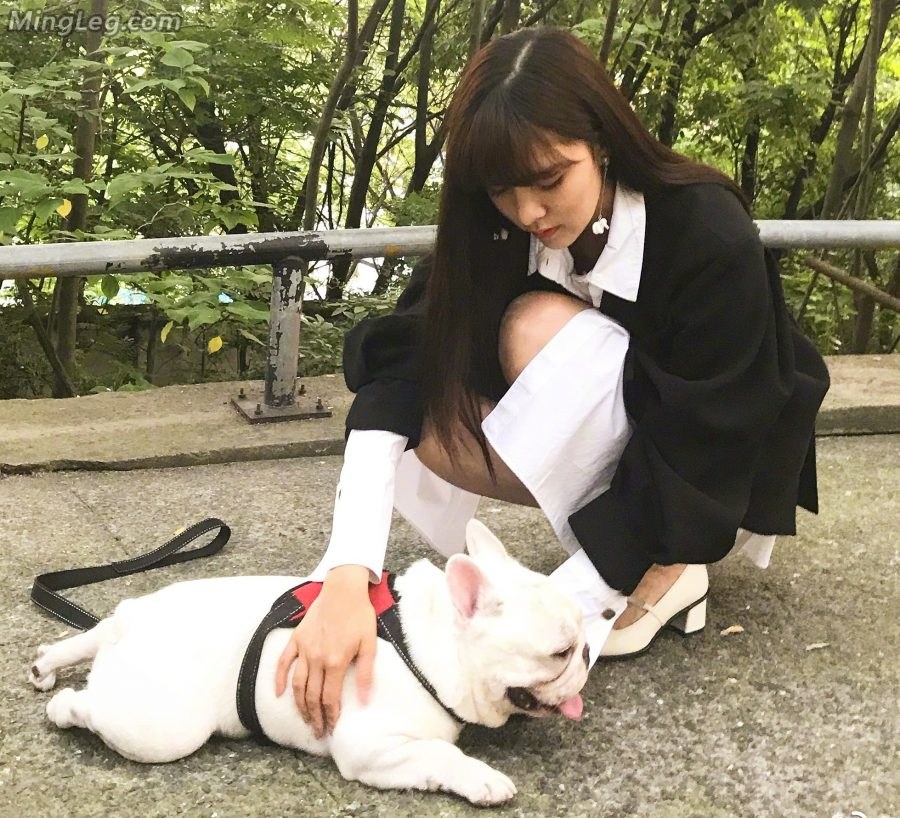 Song Yanfei shows off her slender legs while walking her dog(2/2)