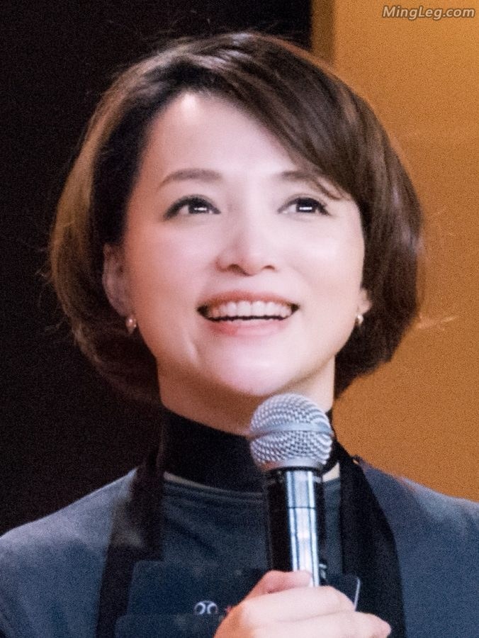 董卿西裤配高跟这样穿也蛮性感的(6/7)