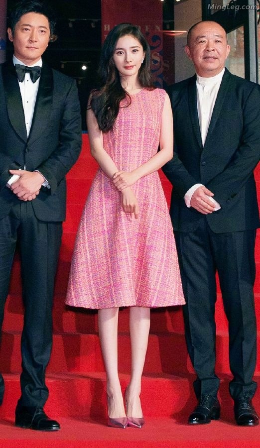 杨幂杨大仙女在平遥电影展红毯上(13/14)
