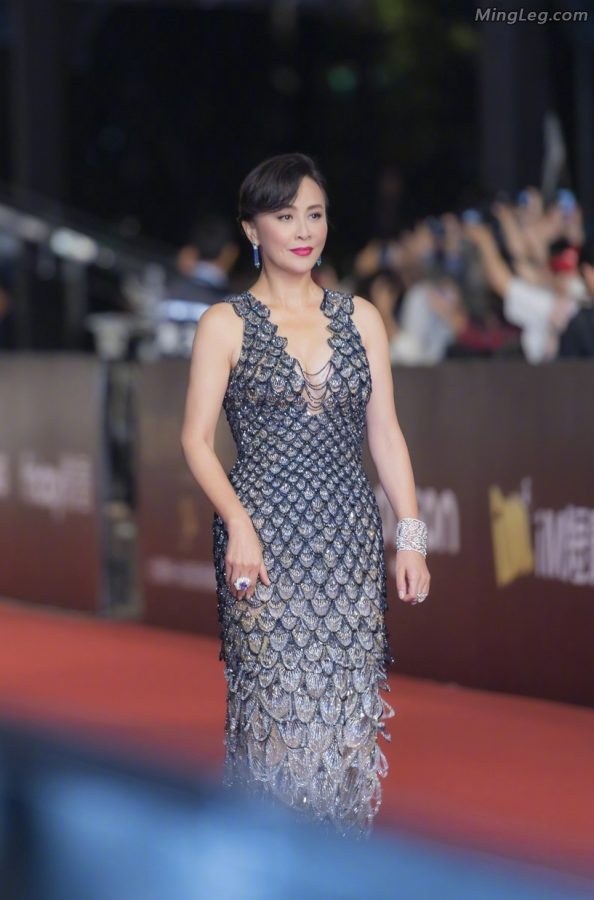 刘嘉玲穿紧身渔网礼服凸显成熟动人曲线走红毯[百度网盘](2/19)
