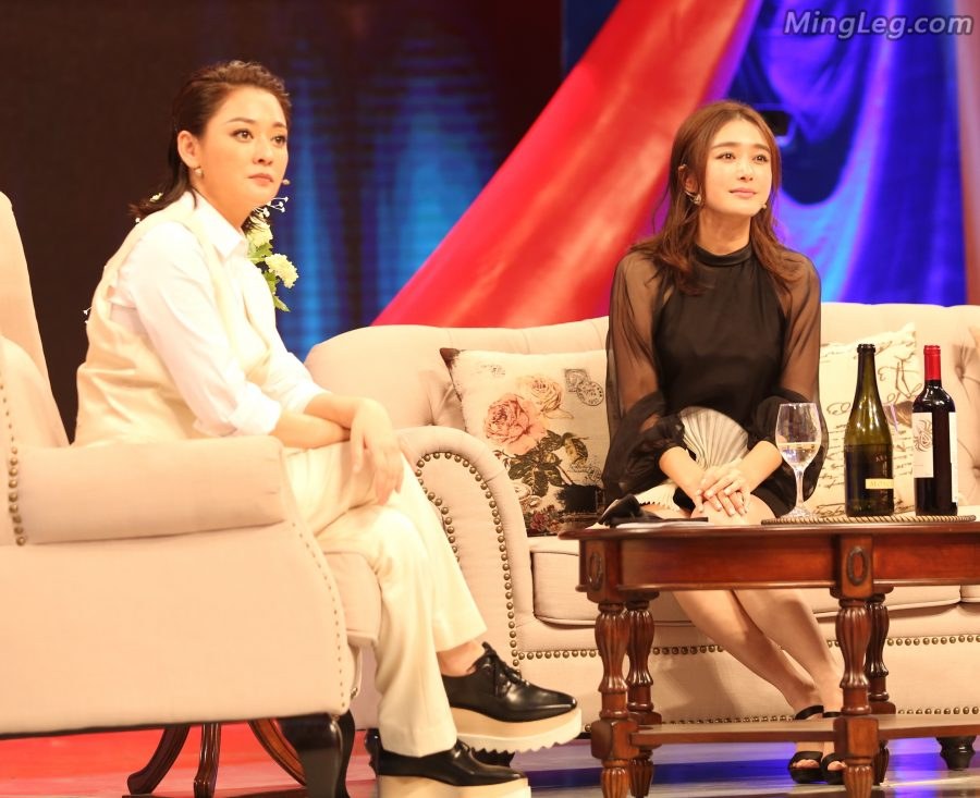 秦岚录制节目桌子下面的高跟美腿(14/27)