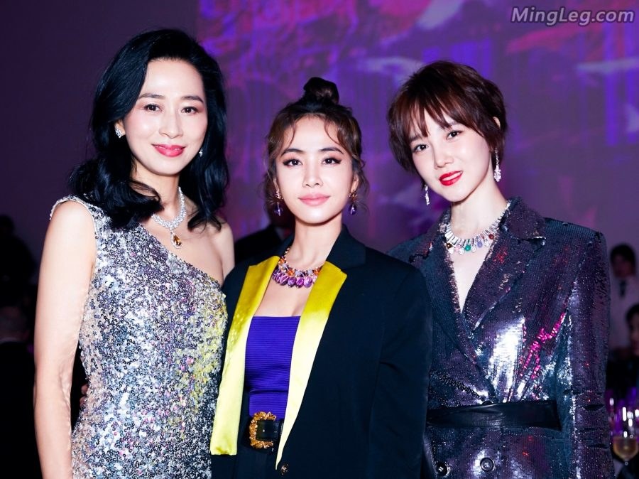 陈小纭和众明星参加活动美腿高跟吸睛(6/8)