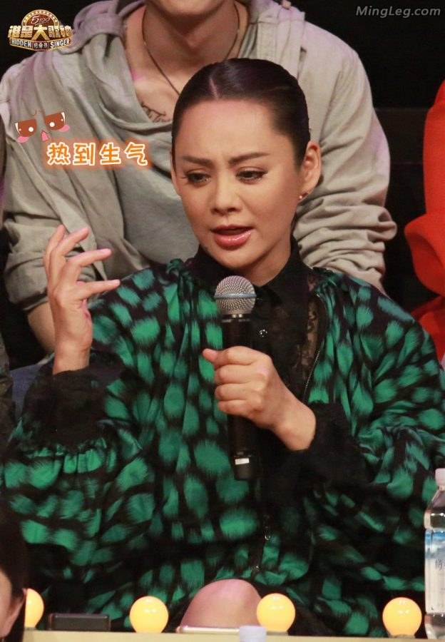 宁静综艺节目里秀美美的肉丝袜美腿(5/5)