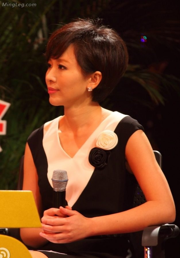 气质短发主持人欧阳夏丹高跟美腿现场(3/5)