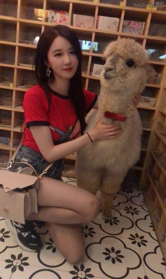 Xuanzi giant rabbit and alpaca together(2/2)